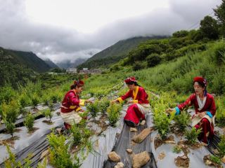 တရုတ်နိုင်ငံက နယ်ပယ်စုံတွင် လူ့အခွင့်အရေးကာကွယ်မှု ခိုင်မာအားကောင်းအောင် ဆောင်ရွက်လျက်ရှိ