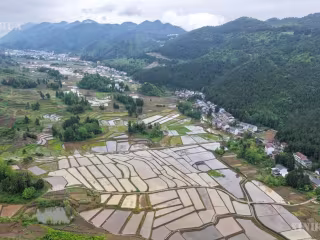 တရုတ်နိုင်ငံ၏ နွေရာသီကောက်ပဲသီးနှံထွက်ရှိမှု တန်ချိန် ၁၅၀ သန်း ကျော်လွန်