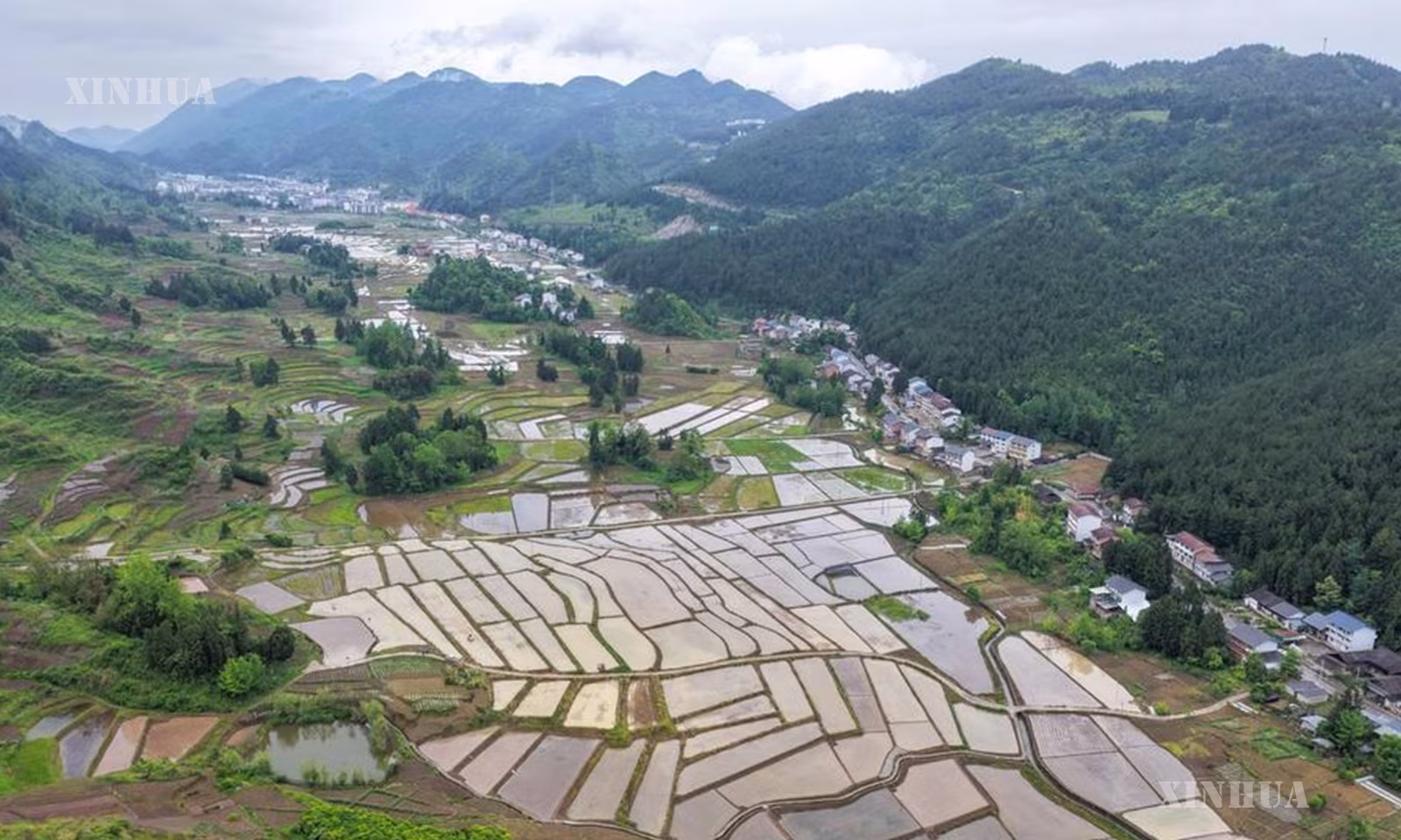 တရုတ်နိုင်ငံ အနောက်တောင်ပိုင်း ချုံချင့်မြို့ ရှီကျု့ ထူကျားလူမျိုး ကိုယ်ပိုင်အုပ်ချုပ်ခွင့်ရခရိုင် ယွီချီမြို့နယ်ရှိ စံနှုန်းမြင့်လယ်ယာမြေကို ၂၀၂၆ ခုနှစ် မေ ၇ ရက်က တွေ့ရစဉ် (ဆင်ဟွာ)