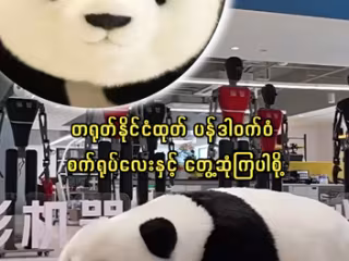 တရုတ်နိုင်ငံထုတ် ပန်ဒါဝက်ဝံ စက်ရုပ်လေးနှင့် တွေ့ဆုံကြပါစို့