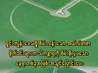 ရှင်းကျန်းဒေသရှိ စိမ်းလန်းသော အယ်လ်ဖာဖာ စိုက်ခင်းများက သဲကန္တာရကို စိမ်းစိုလှပသော နေရာတစ်ခုအဖြစ် အသွင်ပြောင်းပေး