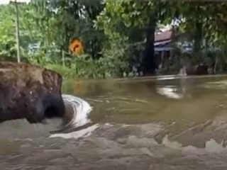 မြန်မာနိုင်ငံတစ်ဝန်း မြို့နယ် ၃၂ မြို့နယ်တွင် ရေကြီးရေလျှံမှု ဖြစ်ပွား