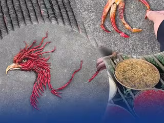တရုတ်နိုင်ငံ အရှေ့ပိုင်းတွင် အနုပညာရှင်တစ်ဦးက ပြောင်းဖူးနှင့် ငရုတ်သီးများကို အသုံးပြု၍ ဖီးနစ်ငှက်ပုံစံ ဖန်တီးပုံဖော်