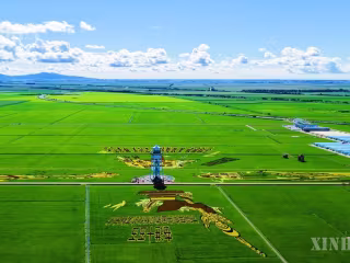 တရုတ်နိုင်ငံ၏ ထိပ်တန်း ကောက်ပဲသီးနှံထုတ်လုပ်သည့်ပြည်နယ်က စပါးခင်းများကို ခရီးသွားနေရာများအဖြစ် အသွင်ပြောင်းလဲပေး