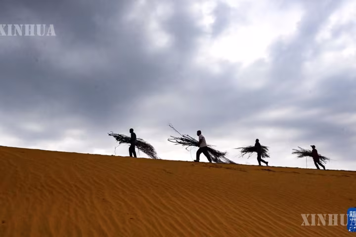 အဲ့အယ်တောစစ်မြို့တွင် “လုပ်အားဖြင့် သက်သာခွင့်ရရှိစေခြင်း” ဖြင့် သဲကန္တာရဖြစ်ထွန်းမှုကာကွယ်ရေးနှင့် ကုစားရေးလုပ်ငန်းများ အလုပ်များနေ