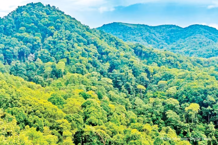 မြန်မာနိုင်ငံ ရှမ်းပြည်နယ်ရှိ သုဝဏ္ဏသျှံတောင် ကြိုးပြင်ကာကွယ်တောအဖြစ် သတ်မှတ်
