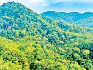 မြန်မာနိုင်ငံ ရှမ်းပြည်နယ်ရှိ သုဝဏ္ဏသျှံတောင် ကြိုးပြင်ကာကွယ်တောအဖြစ် သတ်မှတ်