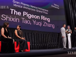 The Pigeon Ring က ဗင်းနစ် Immersive Grand Prize ဆု ဆွတ်ခူးရရှိ
