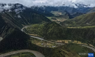 သစ်တောပင်လယ်တွင် မူလခံယူချက်ဖြင့် ကုန်းမြင့်ဒေသ စိမ်းလန်းရေးကို ကာကွယ်စောင့်ရှောက်ခြင်း