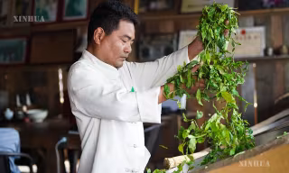 ယူနန်ပြည်နယ် ကျင်မိုင့်တောင်တွင် ခရီးသွားဧည့်သည်များ လက်ဖက်သင်းရနံ့အား လာရောက်ရှာဖွေ၊ ရှေးဟောင်းကျေးရွာလေးများ စာမျက်နှာသစ်ဖွင့်လှစ်