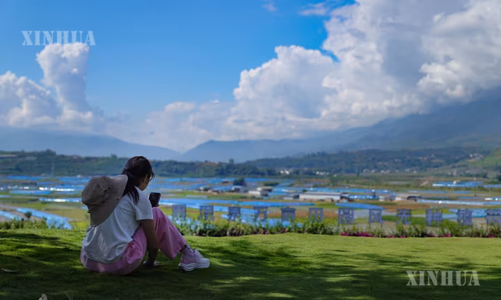 ယူနန်ပြည်နယ် ပေါင်ဆန်းမြို့တွင် ဆောင်းဦးရာသီ ယဉ်ကျေးမှုခရီးသွားလာမှုဖြင့် စီးပွားရေးကို အားဖြည့်ပေး