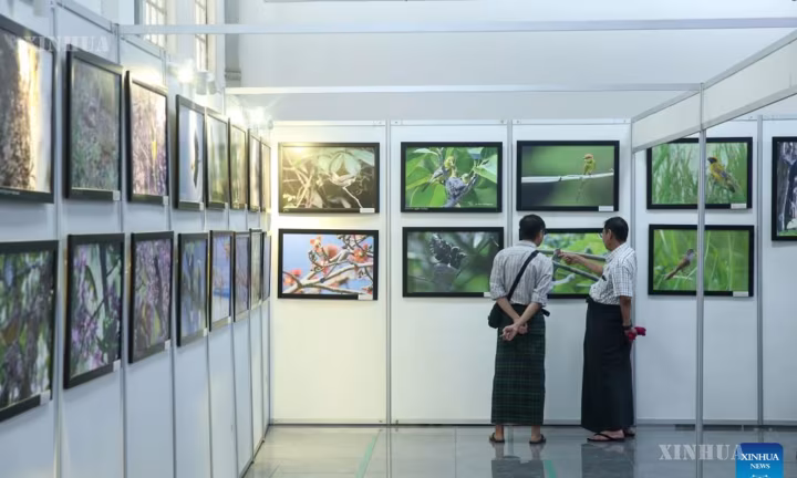 ဆောင်းခိုငှက်များ နေထိုင်ကျက်စားရာ ဒေသများ၊ ပျံသန်းရာလမ်းကြောင်းများအတွက် ဂေဟစနစ် ကာကွယ်ထိန်းသိမ်းရေး မြန်မာပညာရှင်များ အလေးပေးပြောကြား