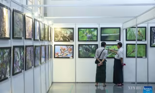ဆောင်းခိုငှက်များ နေထိုင်ကျက်စားရာ‌ ဒေသများ၊ ပျံသန်းရာလမ်းကြောင်းများအတွက် ဂေဟစနစ် ကာကွယ်ထိန်းသိမ်းရေး မြန်မာပညာရှင်များ အလေးပေးပြောကြား