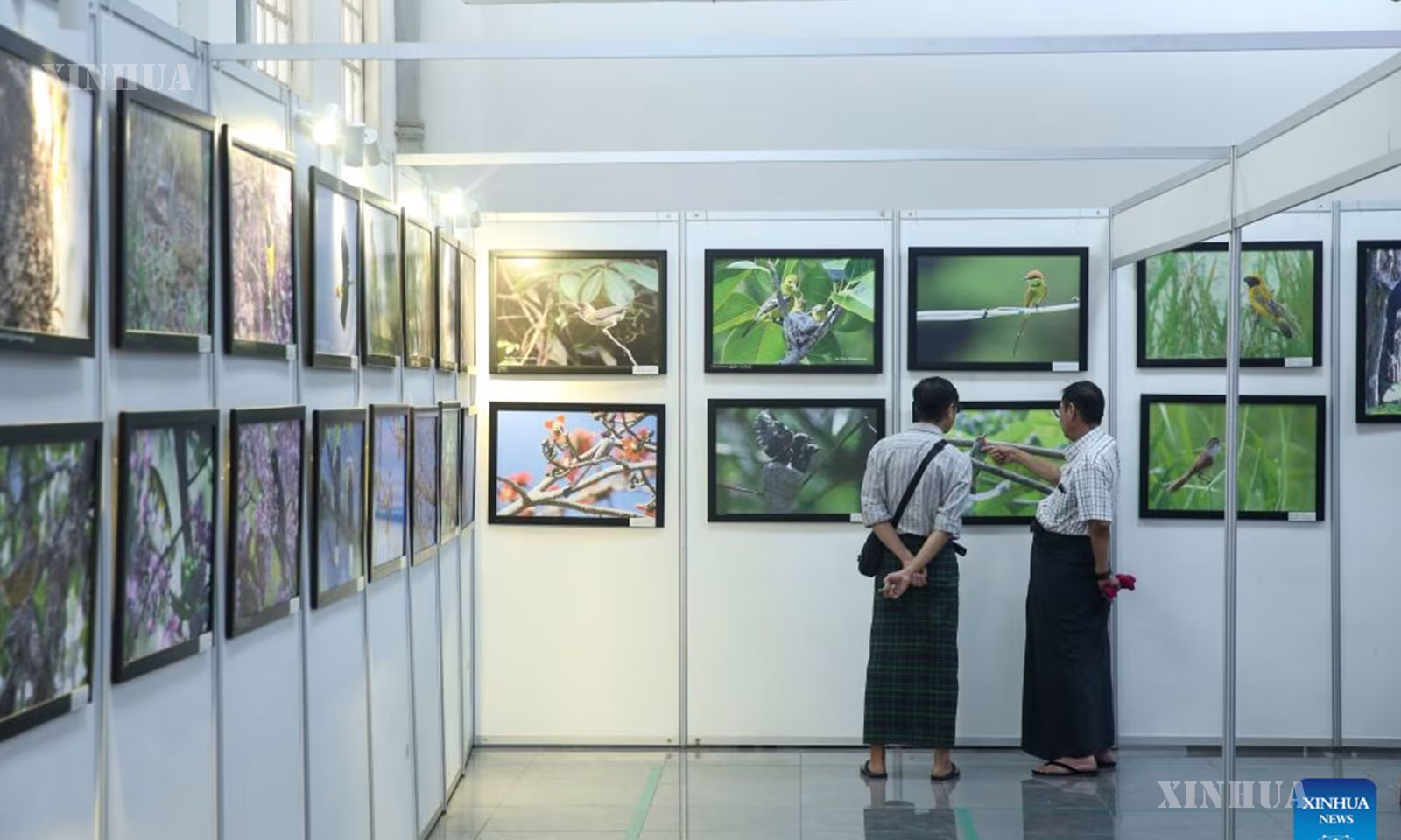 မြန်မာနိုင်ငံ ရန်ကုန်မြို့တွင် ကျင်းပသည့် ကမ္ဘာ့ဆောင်းခိုငှက်များနေ့ အထိမ်းအမှတ် ဓာတ်ပုံပြပွဲသို့ လာရောက်ကြည့်ရှုလေ့လာနေသူများကို ၂၀၂၆ ခုနှစ် အောက်တိုဘာ ၃ ရက်က တွေ့ရစဉ် (ဆင်ဟွာ)
