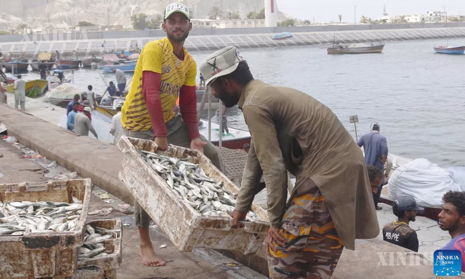 ပါကစ္စတန်နိုင်ငံ အနောက်‌တောင်ပိုင်း Gwadar မြို့ရှိ ငါးစျေးတစ်ခု၌ ငါးများသယ်ဆောင်လာသည့် ငါးဖမ်းလုပ်သားများကို ၂၀၂၄ ခုနှစ် စက်တင်ဘာ ၁၉ ရက်က တွေ့ရစဉ် (ဆင်ဟွာ)