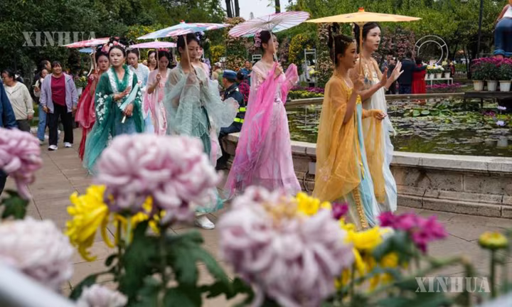 ယူနန်ပြည်နယ် ကူမင်းမြို့တွင် ဆောင်းဦးဂန္ဓမာပန်းများ ပွင့်လန်းဝေဆာလျက်ရှိ