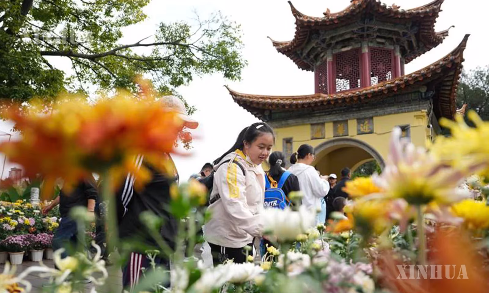 တရုတ်နိုင်ငံ ယူနန်ပြည်နယ် ကူမင်းမြို့ ၃၂ ကြိမ်မြောက် တာ့ကွမ်းဥယျာဉ် ရွှေရောင်ဆောင်းဦး ဂန္ဓမာပန်းယဉ်ကျေးမှုပြပွဲတွင် ဂန္ဓမာပန်းရှုစားသူများအား ၂၀၂၆ ခုနှစ် အောက်တိုဘာ ၆ ရက်က တွေ့ရစဉ် (ဆင်ဟွာ)
