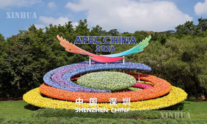 APEC အကြောင်းအရာ ပန်းအလှဆင်မှုကို ဆန်းကျန့်မြို့ လျန်ဟွားဆန်းပန်းခြံ၌ ထားရှိ