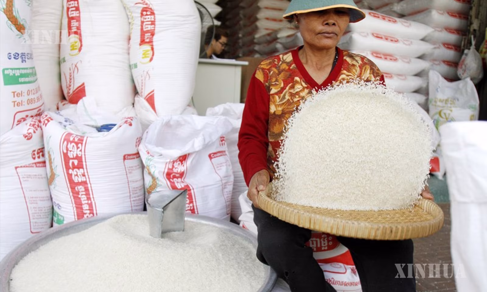 ကမ္ဘောဒီးယားနိုင်ငံ ဖနွမ်းပင်မြို့ရှိ ဆန်ဆိုင်တစ်ဆိုင်တွင် ဆန်များအား သန့်စင်နေသော အမျိုးသမီးတစ်ဦးကို ၂၀၁၄ ခုနှစ် နိုဝင်ဘာ ၂၀ ရက်က တွေ့ရစဉ် (ဆင်ဟွာ)