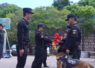 တရုတ်နိုင်ငံ ယူနန်ပြည်နယ်တွင် ရဲခွေးလေးများအတွက် ကြည်နူးဖွယ်ရာ အငြိမ်းစားယူခြင်း အခမ်းအနား ကျင်းပ